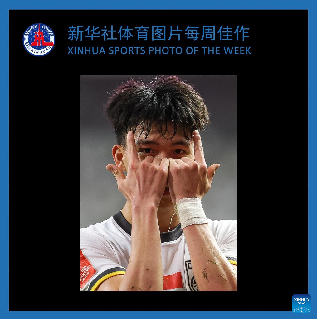 不少球迷對